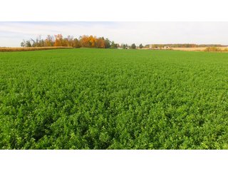 Property photo 35 - MAJOR LAND AUCTION - 315+/- ACRES IN 16 TRACTS - 6 PROPERTIES IN WHITLEY & ALLEN COUNTIES, INDIANA